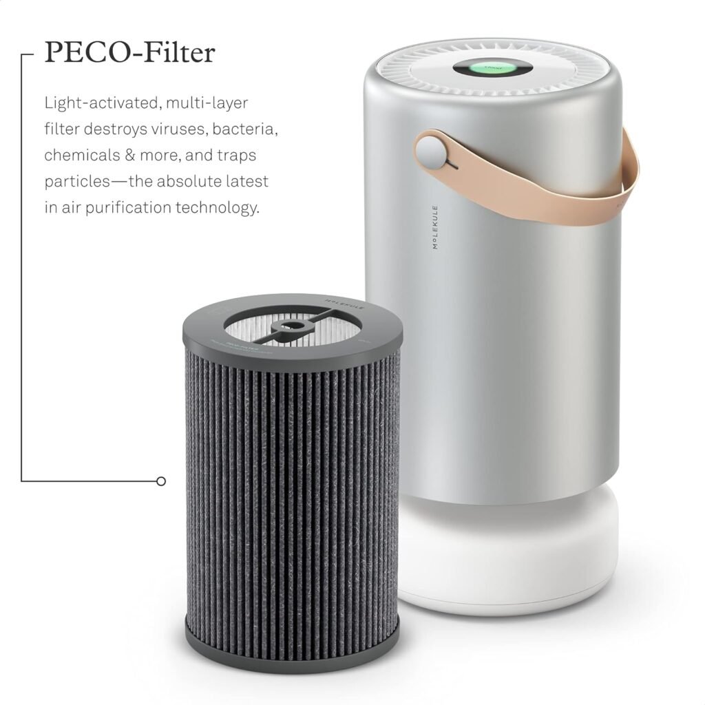 Molekule PECO-HEPA Tri-Power Filter Air Pro | Air Purifier Replacement Filters for Smoke, Mold, Bacteria, Viruses, Allergens  Other Pollutants for Clean Air - Gray